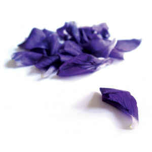 Scatola Ovale Caramelle Balsamiche Violetta 50 g 2 Pz Anis de Flavigny