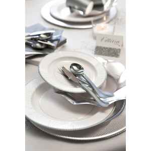 Piatti Piani di Carta a Righe Bordo Argento Classic Silver 27 cm Extra