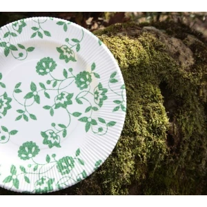 Piatti Fondi a Righe Compostabili Natura Verde 25,5 cm Extra