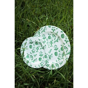 Piatti Fondi a Righe Compostabili Natura Verde 25,5 cm Extra