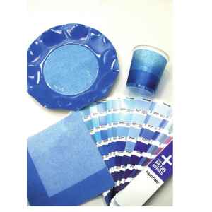 Bicchieri di Plastica Bicolore Turchese - Blu Cobalto 250 cc 8 Pz